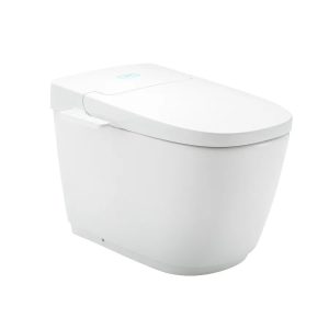 Bồn Cầu Thông Minh INAX AC-816VN