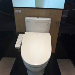 Bồn Cầu Điện Tử TOTO CS769DRW18 Nắp Rửa Washlet TCF23710AAA C2 Simple