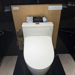 Bồn Cầu Điện Tử TOTO MS625CDW23 Nắp Rửa Washlet TCF47360GAA S7 Giấu Dây