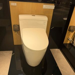 Bồn Cầu Điện Tử TOTO MS636CDRW23 Nắp Rửa Washlet TCF47360GAA S7 Giấu Dây