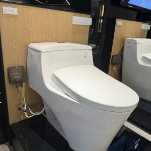 Bồn Cầu Điện Tử TOTO MS823CDRW23 Nắp Washlet TCF47360GAA S7 Giấu Dây