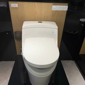 Bồn Cầu Điện Tử TOTO MS823CDRW23 Nắp Washlet TCF47360GAA S7 Giấu Dây
