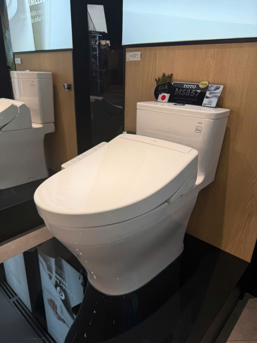 Bồn Cầu Điện Tử TOTO MS857DW24 Nắp Rửa Washlet TCF33461GAA S2