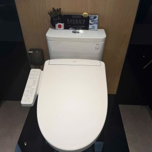 Bồn Cầu Điện Tử TOTO MS857DW24 Nắp Rửa Washlet TCF33461GAA S2