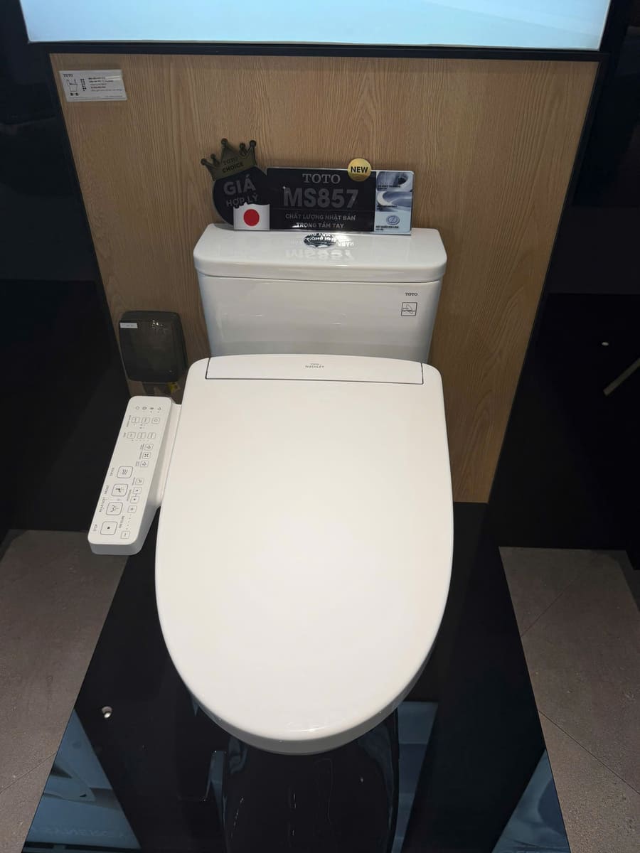 Bồn Cầu Điện Tử TOTO MS857DW24 Nắp Rửa Washlet TCF33461GAA S2