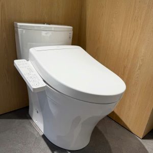 Bồn Cầu Điện Tử TOTO MS885CDW24#XW Nắp Rửa Washlet TCF33461GAA S2 Giấu Dây