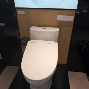 Bồn Cầu Điện Tử TOTO MS885DW25 Nắp Rửa Washlet TCF34461GAA S5