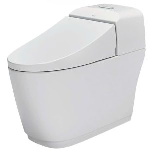 Bồn Cầu INAX AC-1032VN 1 Khối Nắp Êm Aqua Ceramic