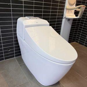 Bồn Cầu INAX AC-1032VN 1 Khối Nắp Êm Aqua Ceramic