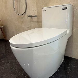 Bồn Cầu INAX AC-902VN 1 Khối Dòng S200