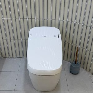 Bồn Cầu Thông Minh INAX AC-G216VN Satis Trắng