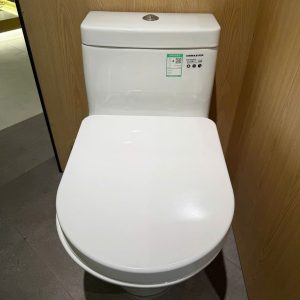 Bồn Cầu TOTO CW166RB/TC384CVK Một Khối Nắp Êm