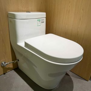 Bồn Cầu TOTO CW166RB/TC384CVK Một Khối Nắp Êm